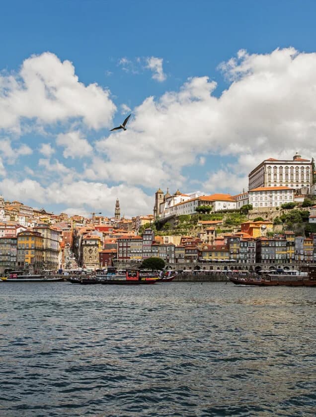 porto.pt